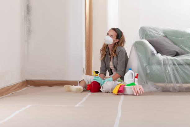 Reliable Black Mold Removal contractor in Green Village, NJ by WQB Mold Removal
